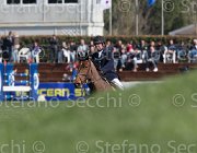 Le Jeune Vikali TosTour2013- S5 2315 : Arezzo, Arezzo Equestrian Centre, Le Jeune Philippe, Toscana Tour 2013, Vikali de l'Heribus, foto di Stefano Secchi ©